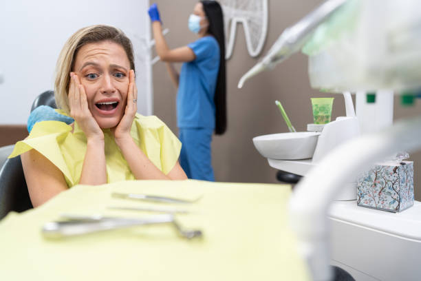 Best Broken or Chipped Tooth Repair in Mirrormont, WA